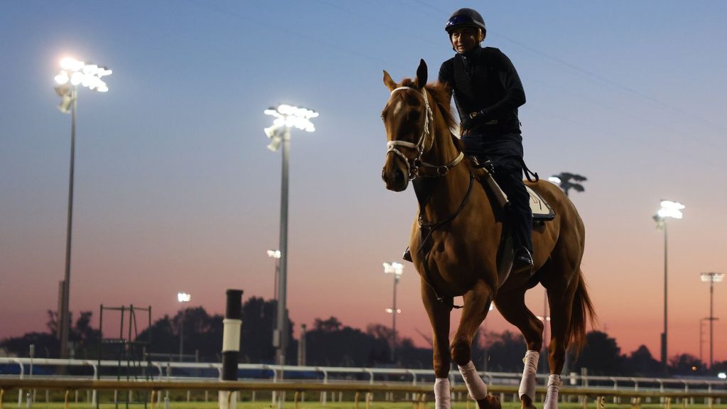 Betting on the Kentucky Derby? Read these 8 tips before placing a wager.