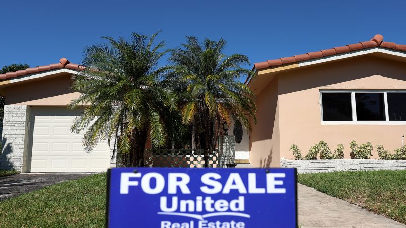 US home prices fall by most in 11 years but sales are down