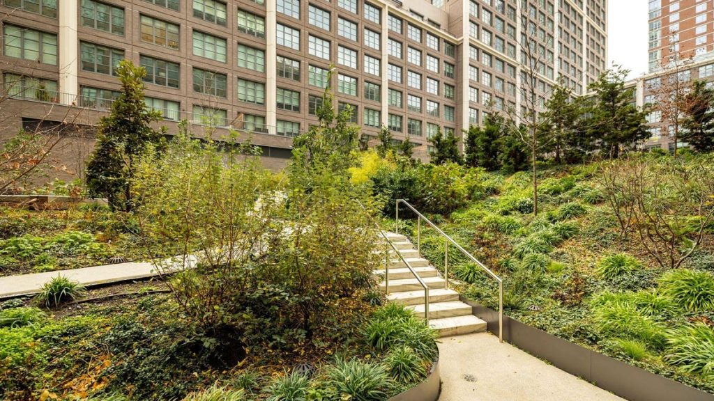 Resident Peace, Calm, Mindfulness Growing In Meditation Gardens