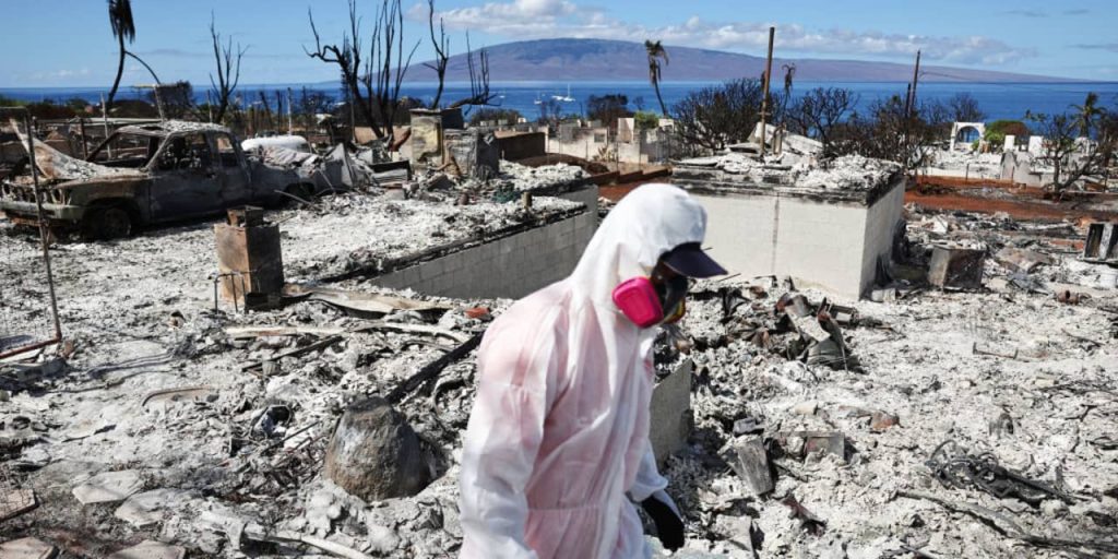 Insurance Stocks Are on a Roll. 6 Picks for the Rally.