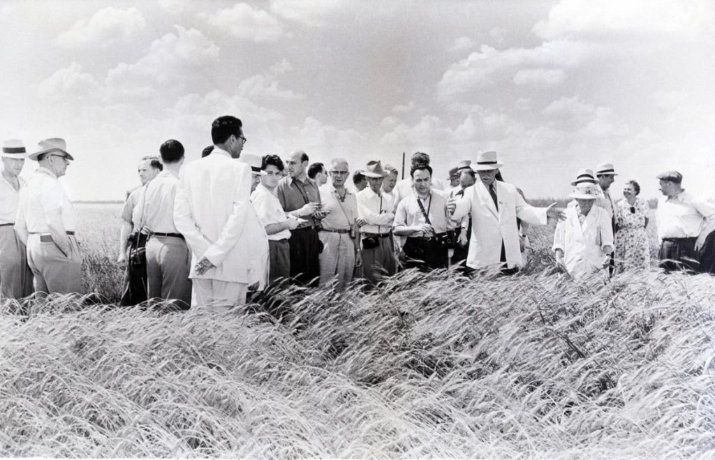 Securing key supplies of food like wheat to a world in escalating turmoil and war is a must and will lead to significant stockpiling demandn