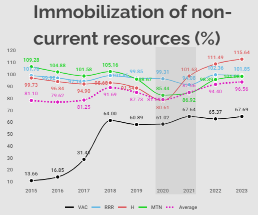 Immobilization of non-current resources