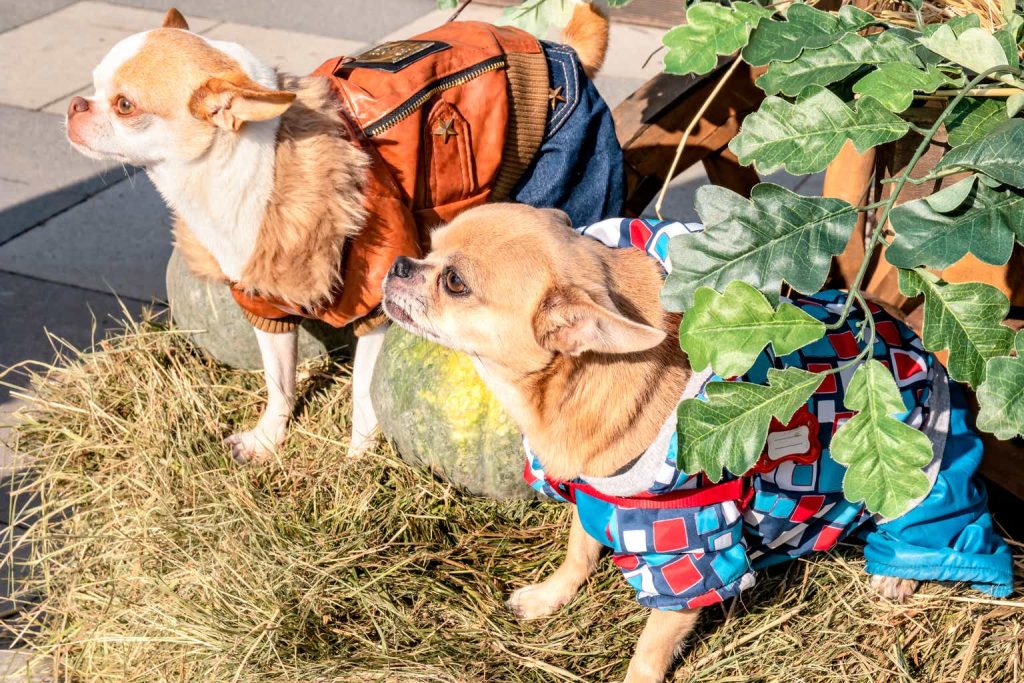 High Yield REITs Whacked By Higher Rates